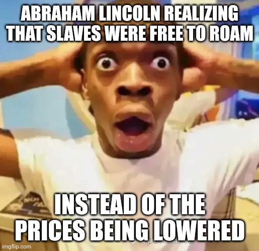 Shocked black guy | ABRAHAM LINCOLN REALIZING THAT SLAVES WERE FREE TO ROAM INSTEAD OF THE PRICES BEING LOWERED | image tagged in shocked black guy | made w/ Imgflip meme maker