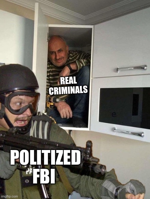 Man hiding in cubboard from SWAT template | REAL CRIMINALS; POLITIZED FBI | image tagged in man hiding in cubboard from swat template | made w/ Imgflip meme maker
