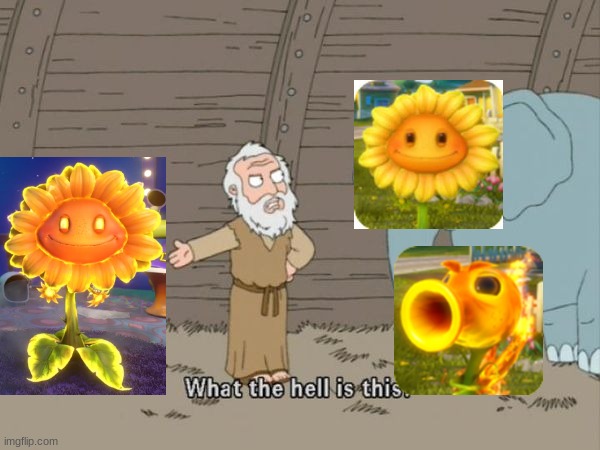 pov: you read fire flower's sticker book description | image tagged in what the hell is this,pvz,peashooter,sunflower pvz | made w/ Imgflip meme maker