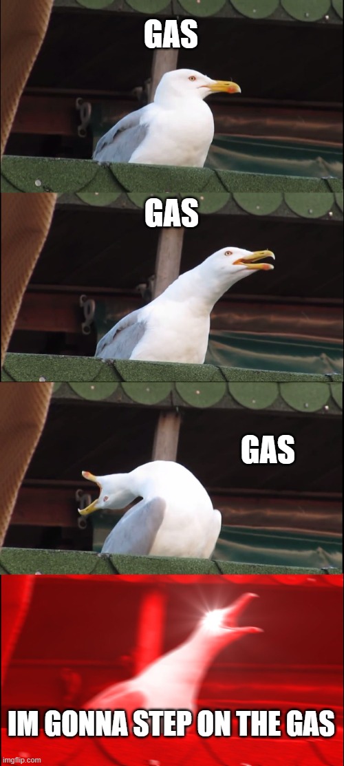 EUROBEAT | GAS; GAS; GAS; IM GONNA STEP ON THE GAS | image tagged in memes,inhaling seagull | made w/ Imgflip meme maker
