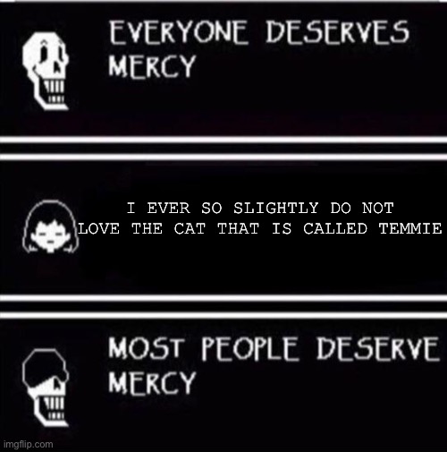 mercy undertale | I EVER SO SLIGHTLY DO NOT LOVE THE CAT THAT IS CALLED TEMMIE | image tagged in mercy undertale | made w/ Imgflip meme maker