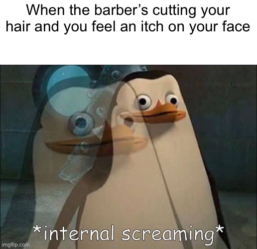 I hate when this happens! | When the barber’s cutting your hair and you feel an itch on your face | image tagged in private internal screaming | made w/ Imgflip meme maker