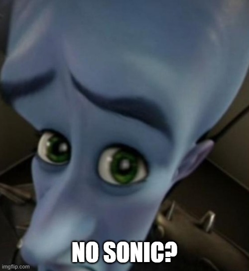 POV: You're Nine | NO SONIC? | image tagged in megamind no bitches | made w/ Imgflip meme maker