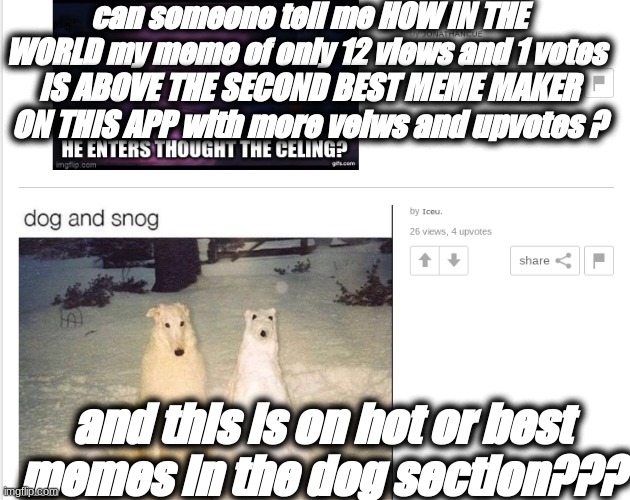 what in the world? | can someone tell me HOW IN THE WORLD my meme of only 12 views and 1 votes; IS ABOVE THE SECOND BEST MEME MAKER ON THIS APP with more veiws and upvotes ? and this is on hot or best memes in the dog section??? | image tagged in dogs,memes | made w/ Imgflip meme maker