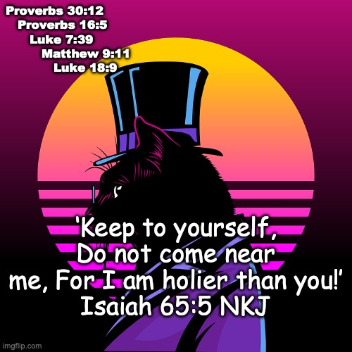 Mr. Hip Hypocrite | Proverbs 30:12
   Proverbs 16:5
      Luke 7:39
         Matthew 9:11
            Luke 18:9; ‘Keep to yourself, Do not come near me, For I am holier than you!’
Isaiah 65:5 NKJ | image tagged in a real cool cat,or cat on a hot tin roof | made w/ Imgflip meme maker