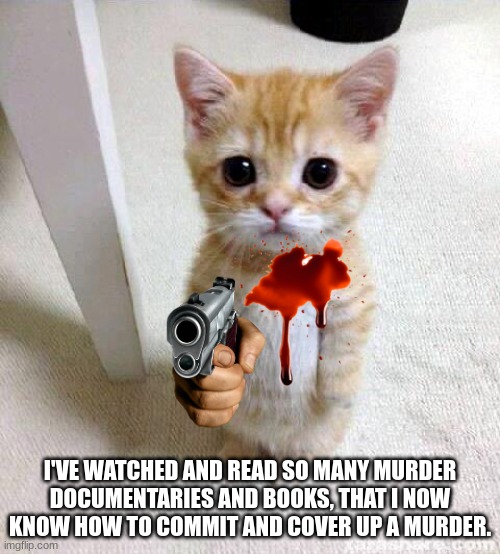 #unhinged confession | I'VE WATCHED AND READ SO MANY MURDER DOCUMENTARIES AND BOOKS, THAT I NOW KNOW HOW TO COMMIT AND COVER UP A MURDER. | image tagged in memes,cute cat | made w/ Imgflip meme maker