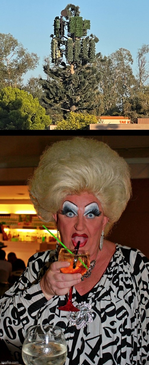 ? | image tagged in cell tower tree,ugly drag queen | made w/ Imgflip meme maker