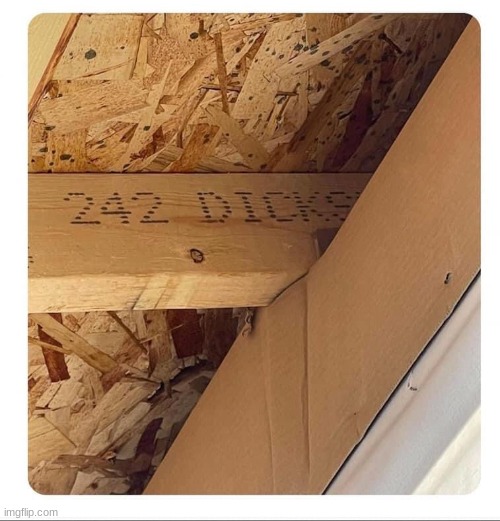 image tagged in 242 dicks | made w/ Imgflip meme maker