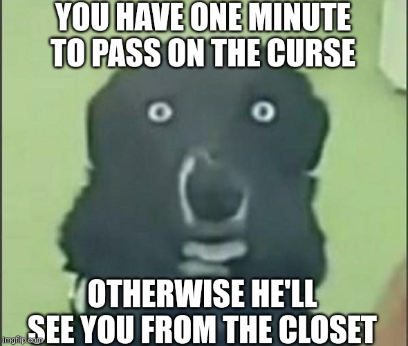 YOU HAVE ONE MINUTE TO PASS ON THE CURSE OTHERWISE HE'LL SEE YOU FROM THE CLOSET | made w/ Imgflip meme maker
