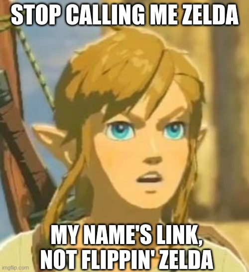 Offended Link | STOP CALLING ME ZELDA; MY NAME'S LINK, NOT FLIPPIN' ZELDA | image tagged in offended link | made w/ Imgflip meme maker