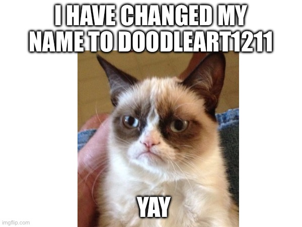 Yay my new name | I HAVE CHANGED MY NAME TO DOODLEART1211; YAY | image tagged in happy,yay | made w/ Imgflip meme maker