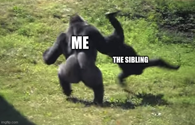 gorilla throwing another gorilla | ME THE SIBLING | image tagged in gorilla throwing another gorilla | made w/ Imgflip meme maker