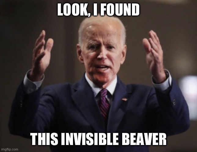 LOOK, I FOUND; THIS INVISIBLE BEAVER | made w/ Imgflip meme maker