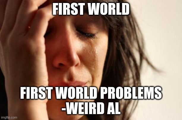 Weird Al | FIRST WORLD; FIRST WORLD PROBLEMS
-WEIRD AL | image tagged in memes,first world problems,weird al yankovic,songs | made w/ Imgflip meme maker
