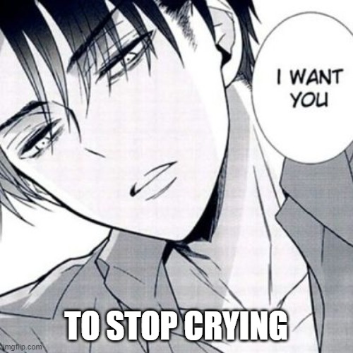 Horny Levi | TO STOP CRYING | made w/ Imgflip meme maker