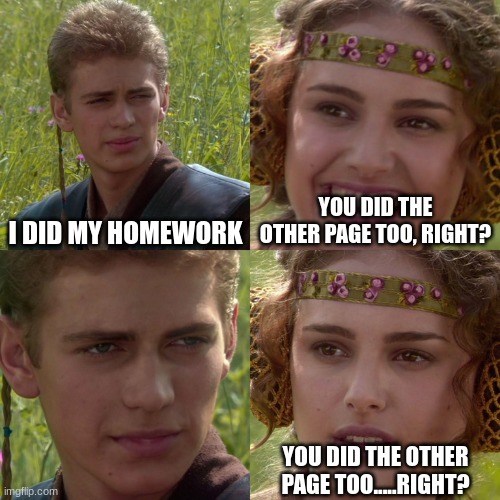 Anakin Padme 4 Panel | I DID MY HOMEWORK; YOU DID THE OTHER PAGE TOO, RIGHT? YOU DID THE OTHER PAGE TOO.....RIGHT? | image tagged in anakin padme 4 panel | made w/ Imgflip meme maker