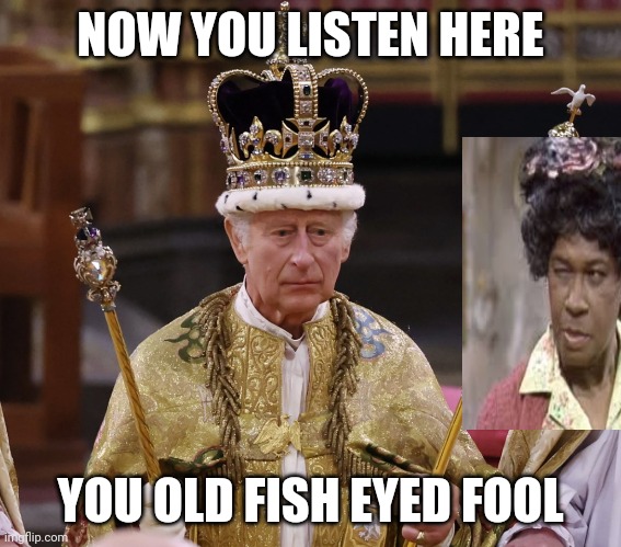 king Charles | NOW YOU LISTEN HERE YOU OLD FISH EYED FOOL | image tagged in king charles | made w/ Imgflip meme maker