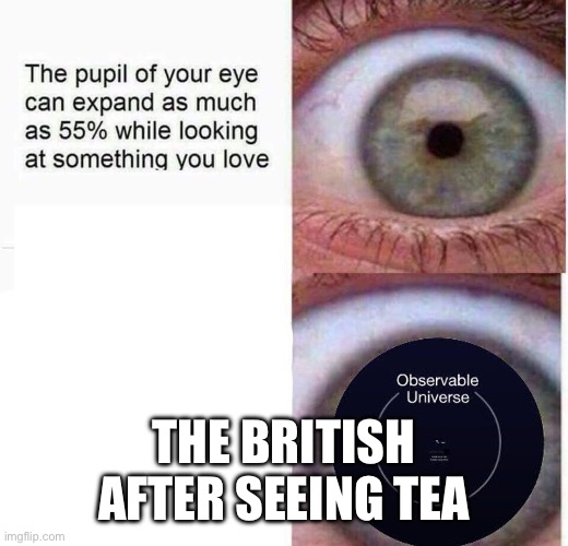 expanding eye | THE BRITISH AFTER SEEING TEA | image tagged in expanding eye | made w/ Imgflip meme maker