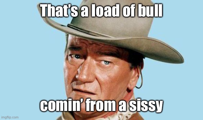 John Wayne | That’s a load of bull comin’ from a sissy | image tagged in john wayne | made w/ Imgflip meme maker