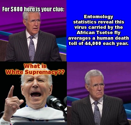 Divider-in-Chief Joe does Jeopardy | Entomology statistics reveal this virus carried by the African Tsetse fly averages a human death toll of 44,000 each year. For $600 here is your clue:; What is White Supremacy?? | image tagged in jeopardy here is your clue,alex trebek,joe biden,biden fail,promoting racial division,political humor | made w/ Imgflip meme maker
