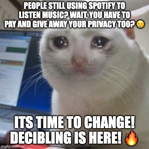 Crying cat | PEOPLE STILL USING SPOTIFY TO LISTEN MUSIC? WAIT, YOU HAVE TO PAY AND GIVE AWAY YOUR PRIVACY TOO? 😢; ITS TIME TO CHANGE! DECIBLING IS HERE! 🔥 | image tagged in crying cat,music,spotify,stream,privacy | made w/ Imgflip meme maker