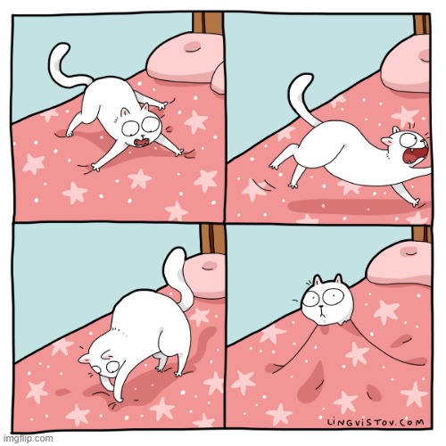 A Cat's Way Of Thinking | image tagged in memes,comics/cartoons,cats,i like,comfort,there i fixed it | made w/ Imgflip meme maker