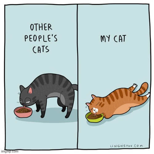 A Cat Lady's Way Of Thinking | image tagged in memes,comics/cartoons,cat lady,cats,eating,habits | made w/ Imgflip meme maker