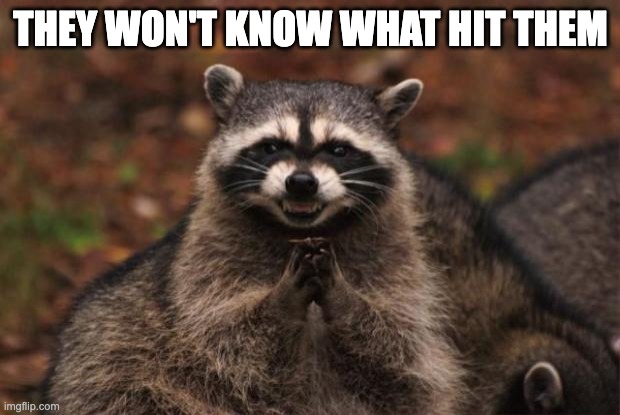 evil genius racoon | THEY WON'T KNOW WHAT HIT THEM | image tagged in evil genius racoon | made w/ Imgflip meme maker