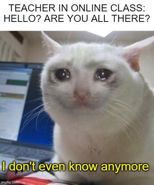 Crying cat | TEACHER IN ONLINE CLASS: HELLO? ARE YOU ALL THERE? I don't even know anymore | image tagged in crying cat | made w/ Imgflip meme maker