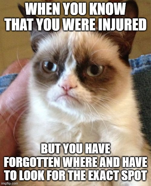 This may or may not be about war | WHEN YOU KNOW THAT YOU WERE INJURED; BUT YOU HAVE FORGOTTEN WHERE AND HAVE TO LOOK FOR THE EXACT SPOT | image tagged in memes,grumpy cat,alzheimers | made w/ Imgflip meme maker