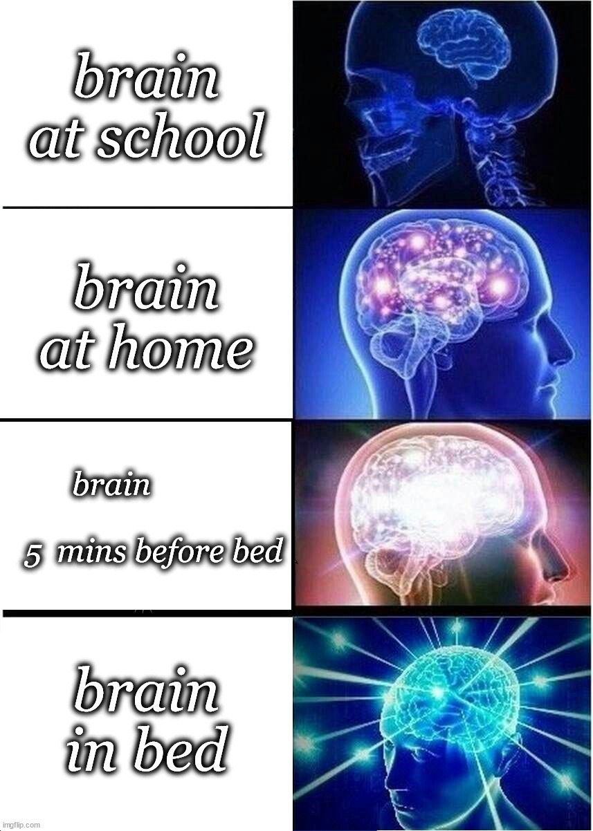 Expanding Brain Meme | brain at school; brain at home; brain                             5  mins before bed; brain in bed | image tagged in memes,expanding brain | made w/ Imgflip meme maker