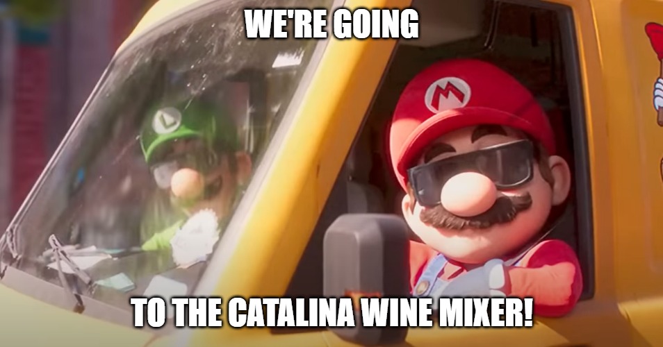 Mario Catalina Wine Mixer | WE'RE GOING; TO THE CATALINA WINE MIXER! | image tagged in super mario bros movie | made w/ Imgflip meme maker