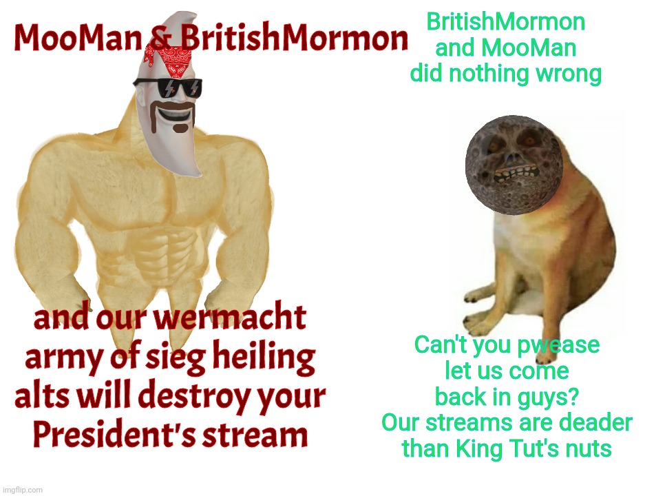 Buff Doge vs. Cheems Meme | MooMan & BritishMormon BritishMormon and MooMan did nothing wrong and our wermacht army of sieg heiling alts will destroy your
President's s | image tagged in memes,buff doge vs cheems,moo man,moonie | made w/ Imgflip meme maker