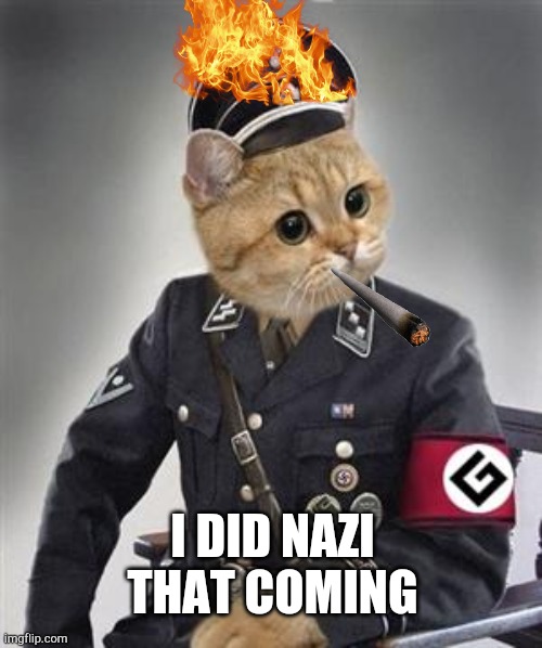 Grammar Nazi Cat | I DID NAZI THAT COMING | image tagged in grammar nazi cat | made w/ Imgflip meme maker