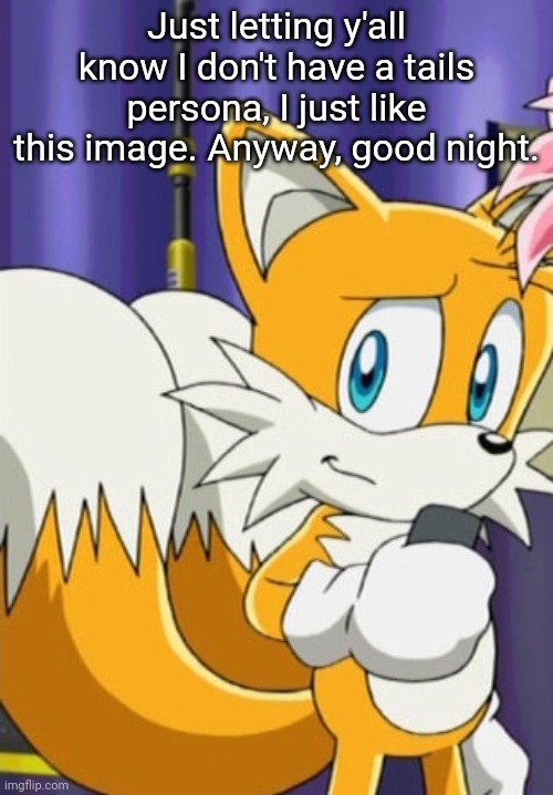 Tails | Just letting y'all know I don't have a tails persona, I just like this image. Anyway, good night. | image tagged in tails | made w/ Imgflip meme maker