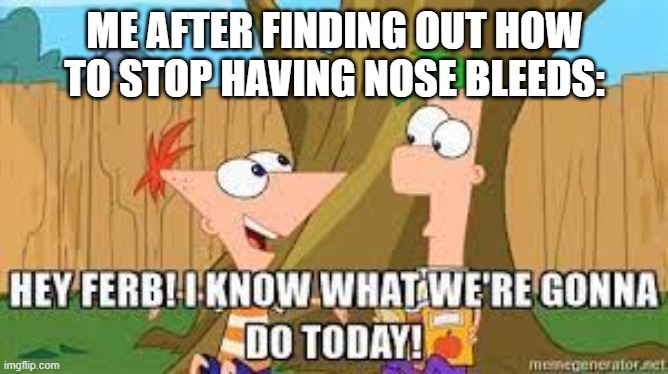 Hey Ferb I Know What We're Gonna Do Today | ME AFTER FINDING OUT HOW TO STOP HAVING NOSE BLEEDS: | image tagged in hey ferb i know what we're gonna do today | made w/ Imgflip meme maker