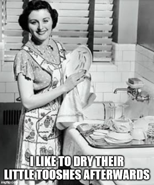 washing dishes | I LIKE TO DRY THEIR LITTLE TOOSHES AFTERWARDS | image tagged in washing dishes | made w/ Imgflip meme maker