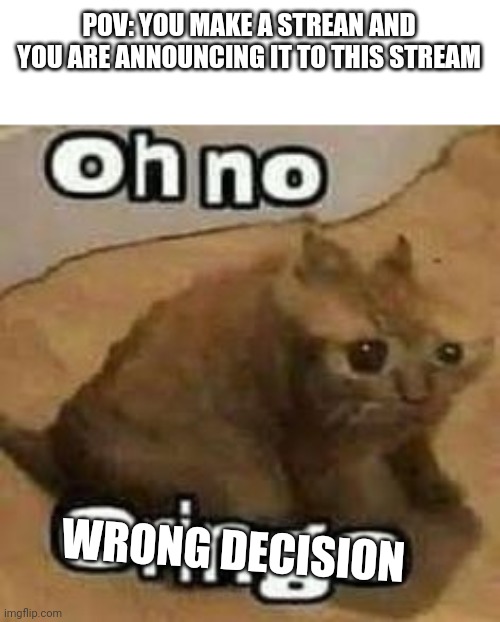 https://imgflip.com/m/Very_Cringe_Pictures | POV: YOU MAKE A STREAN AND YOU ARE ANNOUNCING IT TO THIS STREAM; WRONG DECISION | image tagged in oh no cringe | made w/ Imgflip meme maker