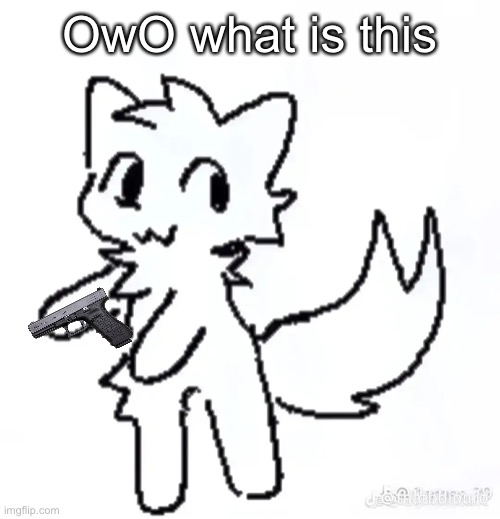 ōwō | OwO what is this | image tagged in oo you like kissing x oo you're a y kisser | made w/ Imgflip meme maker