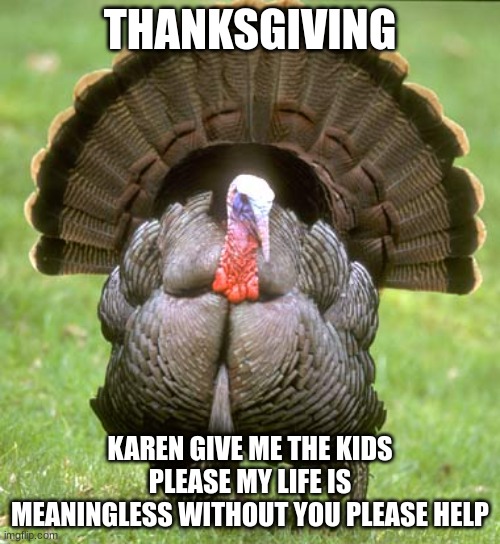 Thanks Give me my Children | THANKSGIVING; KAREN GIVE ME THE KIDS PLEASE MY LIFE IS MEANINGLESS WITHOUT YOU PLEASE HELP | image tagged in memes,turkey | made w/ Imgflip meme maker