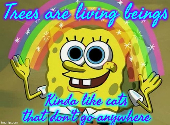 Trees Are Like Cats | Trees are living beings; Kinda like cats that don't go anywhere | image tagged in memes,imagination spongebob,trees,happy little trees,life force,it's alive | made w/ Imgflip meme maker