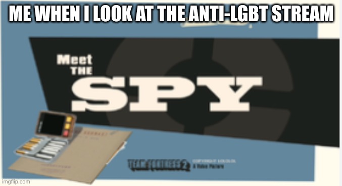 They wont know what hit them (Foxy-bro_Mike-afton: don't start a raid, but still, W) | ME WHEN I LOOK AT THE ANTI-LGBT STREAM | made w/ Imgflip meme maker