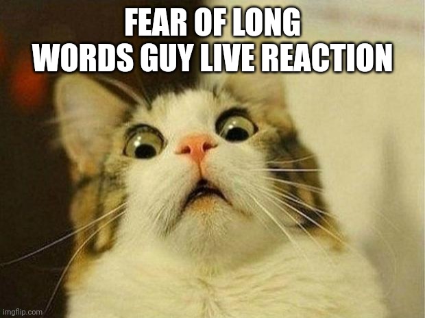 Scared Cat Meme | FEAR OF LONG WORDS GUY LIVE REACTION | image tagged in memes,scared cat | made w/ Imgflip meme maker