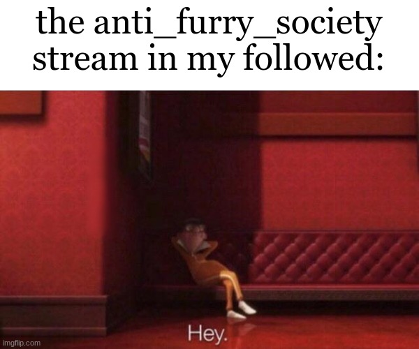 Hey. | the anti_furry_society stream in my followed: | image tagged in hey | made w/ Imgflip meme maker