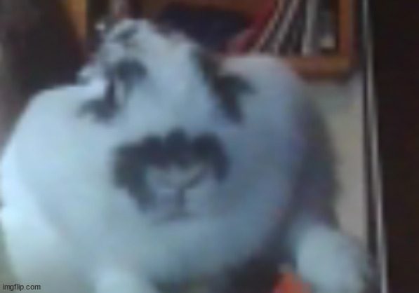 yo potat OJ is alive | made w/ Imgflip meme maker