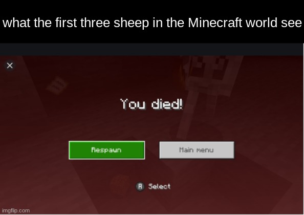 now i can make my bed | what the first three sheep in the Minecraft world see | image tagged in you died minecraft | made w/ Imgflip meme maker