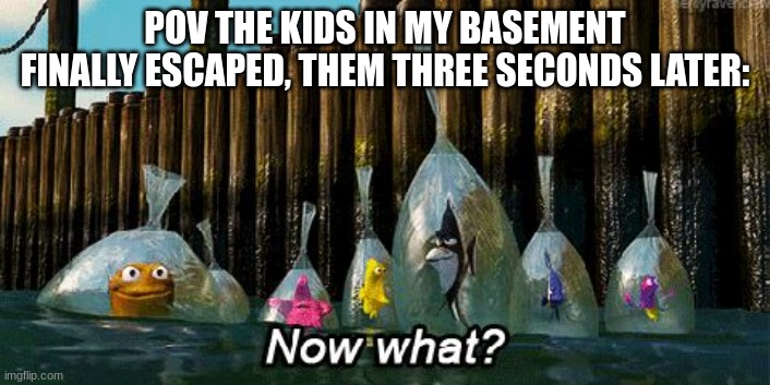 they escaped, tell me if you find them | POV THE KIDS IN MY BASEMENT FINALLY ESCAPED, THEM THREE SECONDS LATER: | image tagged in now what,kids,basement,escape | made w/ Imgflip meme maker