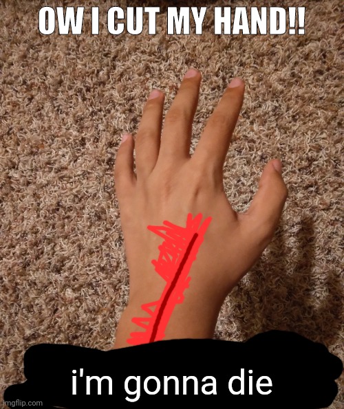 OW I CUT MY HAND!! i'm gonna die | made w/ Imgflip meme maker