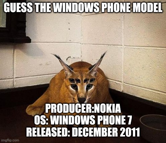 bibically accurate floppa | GUESS THE WINDOWS PHONE MODEL; PRODUCER:NOKIA
OS: WINDOWS PHONE 7
RELEASED: DECEMBER 2011 | image tagged in bibically accurate floppa | made w/ Imgflip meme maker