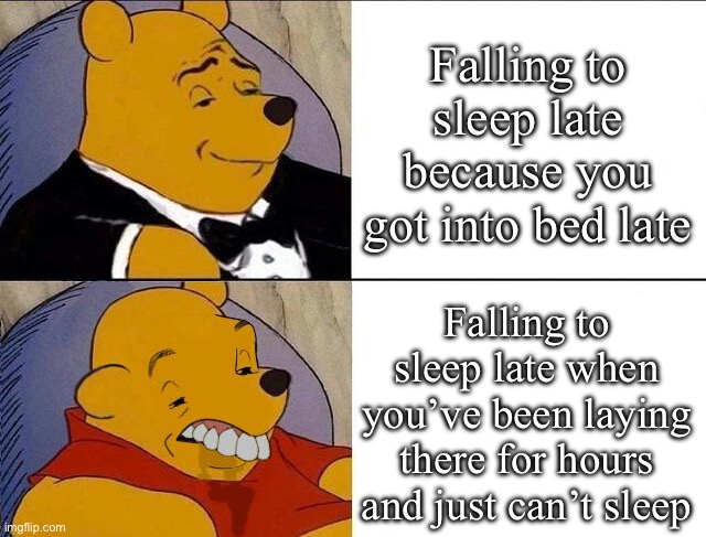 I have not made a meme in a while | Falling to sleep late because you got into bed late; Falling to sleep late when you’ve been laying there for hours and just can’t sleep | image tagged in tuxedo winnie the pooh grossed reverse,sleep,memes,cool,funny | made w/ Imgflip meme maker